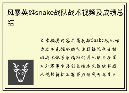 风暴英雄snake战队战术视频及成绩总结